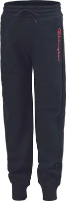 Productafbeelding van Hoodie Champion 404213-BS501 voor Heren