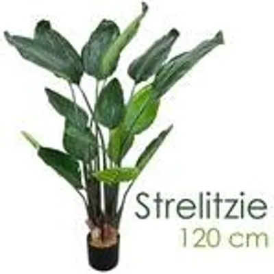 Produktbild von Strelitzia Strelizia vták raja kvetina umelá rastlina umelá rastlina 120 cm umelá kvetina interiérová dekorácia umelá rastlina ako skutočná v kvetináči Decovego