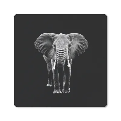 Produktbild von MuchoWow® Mauspad Mousepad Elefant - Zähne - Tiere - Schwarz - Weiß 20x20 cm - Mousepads - Maus Mat - Pad - Mausunterlage - Desk Mat - Bureauartikeln