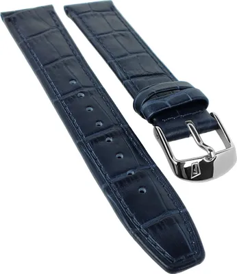 Produktbild von Festina Multifunktion Uhrenarmband 20mm → Leder blau → F16974 F16975