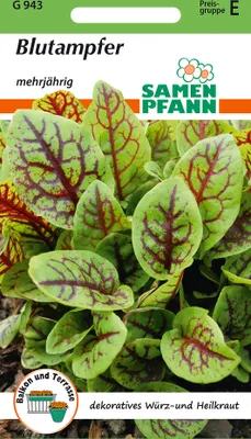 Produktbild von Blutampfer | Heilpflanzensamen von Samen Pfann [MHD 01/2026]