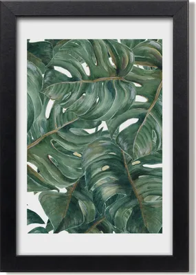 Produktbild von Bild 20x30 MDF-Rahmen, Wandkunst monstera