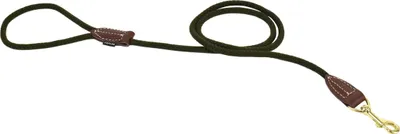 Image de Laisse pour chien Duvo+ Forest verte, dimensions : 135 cm / 8 mm
