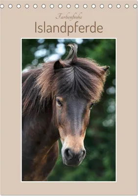 Produktbild von Farbenfrohe Islandpferde (Tischkalender 2025 DIN A5 hoch), CALVENDO Monatskalender