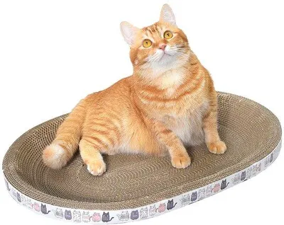 Image de Griffoir en carton pour chats, ovale, 2-en-1, haute densité, pour faire les griffes et dormir