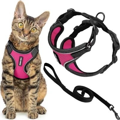 Ausbruchssicheres Katzenhalsband & Leine, reflektierend, 1,5 m