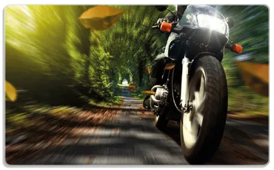 Produktbild von Wallario Frühstücksbrettchen aus Glas, je 14 x 23 cm, mit rutschfesten Füßen, Motiv Fahrendes Motorrad im Wald mit Herbstlaub