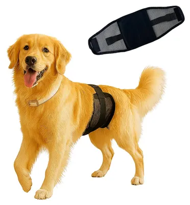 Produktbild von Atmungsaktives Bauchband für Hunde, wiederverwendbar und waschbar