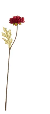 Immagine prodotto di ASA Selection, vaso decorativo Bellis, diametro 30,5 cm