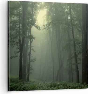 Produktbild von Bild auf Leinwand - Leinwandbild - Wald Nebel Baum - 60x60cm - Wand Bild - Wanddeko - Wandbilder - Leinwanddruck - Bilder - Kunstdruck - Wanddekoration - Leinwand bilder - Wandkunst - AC60x60-3543