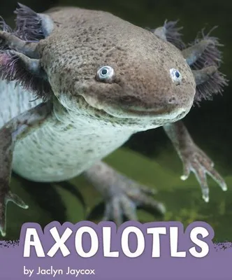 Produktbild von Axolotls