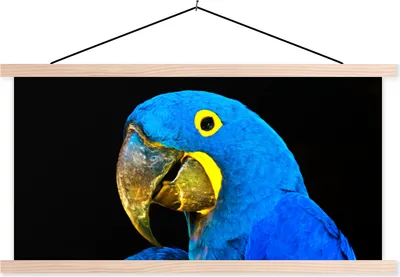 Produktbild von MuchoWow® Textilposter Papagei - Vogel - Federn - Blau 60x30 cm mit holzfarbenen Rahmen - Dekoration