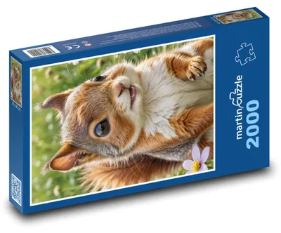 Obrázok produktu pre martinpuzzle – Puzzle 2000 – Vevericka