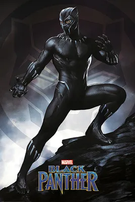 Produktbild von Black Panther Poster Stance  61 x 91,5 cm