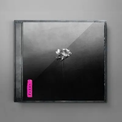 Produktbild von Lotus