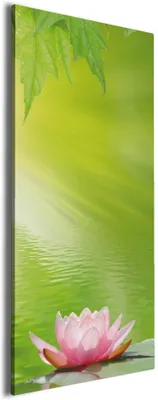 Produktbild von Wallario Premium Leinwandbild Seerose auf dem Wasser in Größe 30 x 75 cm
