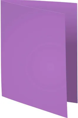 Image de RAINEX Chemise Standard pour DIN A4, 250 g/qm, violet