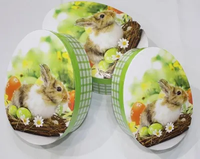 Produktbild von Boxen 3er Set Eiform , Größe A: 20,5cm, B:18,5cm