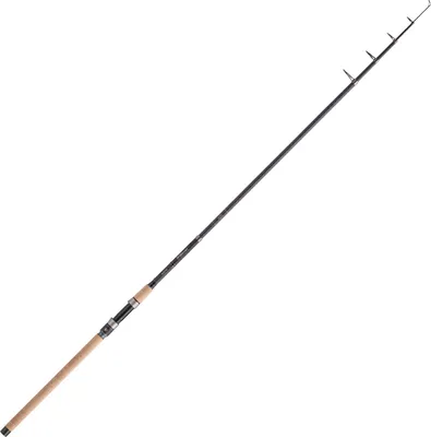 Produktbild von Balzer Diabolo Golden Circle Tele 105 3,00m 40-105g - Angelrute