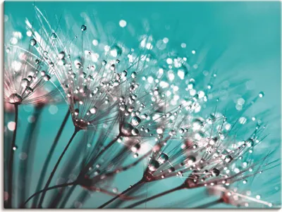 Produktbild von UtArt: Glitzernde Pusteblume, Produkt:Leinwand, Größe:90x120 cm / Leinwand