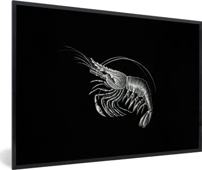 Produktbild von MuchoWow® Gerahmtes Poster Shrimps - Vintage - Ernst Haeckel - Tiere - Kunst 30x20 cm - Poster mit Schwarzem Bilderrahmen Wandposter Rahmen Foto Bilder - Kunstdruck - Bild-Poster