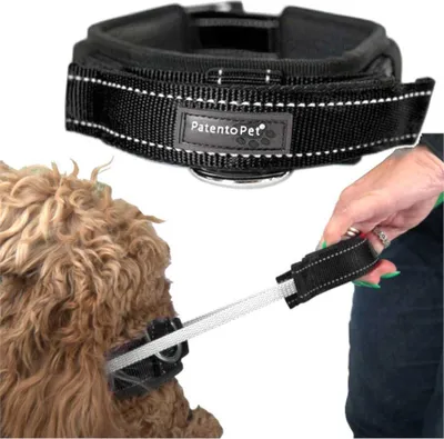 Produktbild von Hundetrainingshalsband mit Griff und kurzer Leine M