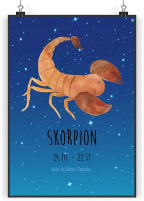 Produktbild von Mr. & Mrs. Panda Bild Sternzeichen Skorpion Classic DIN A4 - Sternenhimmel Blau - Geschenk, wanddeko, Geburtstag Oktober, November, Plakat, Wanddekoration, drucke