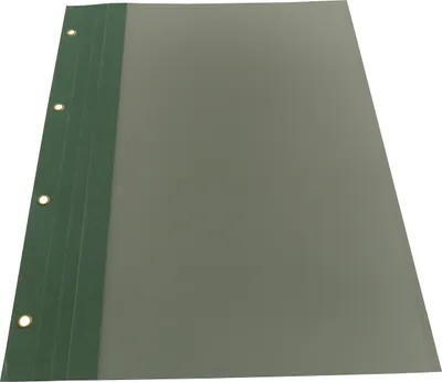 Produktbild von Bilanzmappe grün, 100er Pack, 4 fach geöst, Ösenfarbe gold, mit Folie