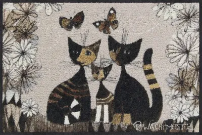 Image de Tapis de porte lavable 50 x 75 cm - Antidérapant - Intérieur/Extérieur - Facile à entretenir - Capturant la poussière