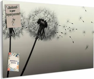 Produktbild von Magnettafel 60x40cm magnetisch & beschreibbar Metall-Board - Pusteblume Schwarz