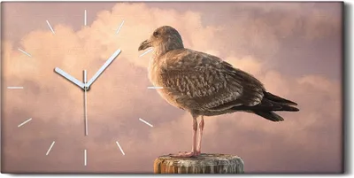 Produktbild von Dekor Leinwand Uhr Wandbilder 60x30 Gemälde Tier Vogel Möwe Himmel Wolken - weiße Hände