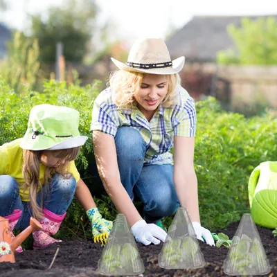 Imagen del producto de Paquete de 10 sombreros vegetales grises