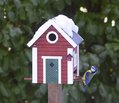 Produktbild von Wildlife Garden WG101 Multiholk Schwedenkate - Der Kombinierte Vogelfutterhaus und Nistkasten/Vogelhaus aus Holz