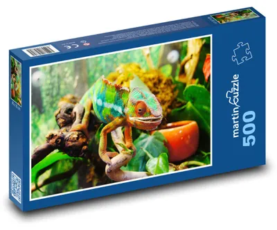 Zdjęcie produktu dla martinpuzzle - Puzzle 500 elementów - "Chameleón"