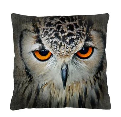Image de Coussin décoratif "Sybilla" PD81