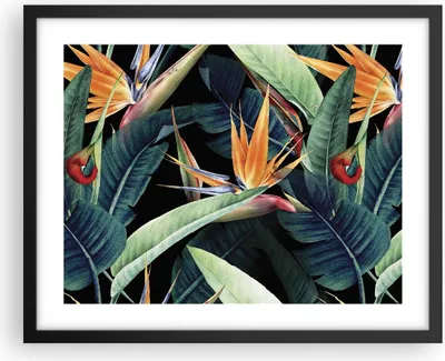 Produktbild von Gerahmtes Poster - Schwarzer Rahmen - Pflanze Tropisch Blume - 50x40 cm - Wand Bild - Wanddeko - Wandbilder - Kunstposter - Wandposter - Bilderrahmen - Bilder - Kunstdruck - P2BAA50x40-5093