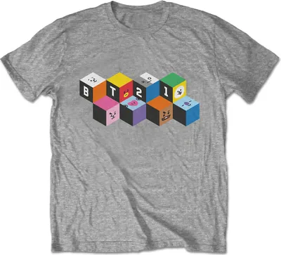 Produktbild von BT21 - Blöcke Uni X-Large T-Shirt - grau