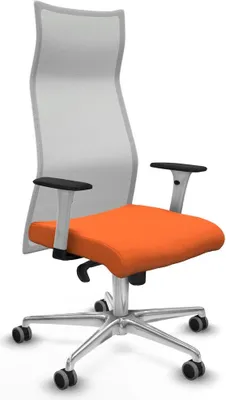 Image de Bürostuhl Piqueras y Crespo B1B086G Orange