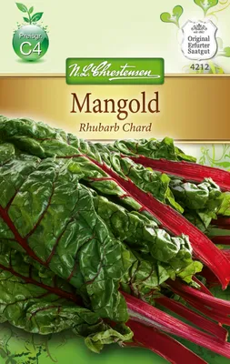 Produktbild von Mangold Rhubarb Chard rot | Mangoldsamen von N.L. Chrestensen