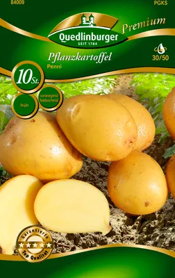 Produktbild von Pflanzkartoffel Penni (10 Stück) (gelb, festkochend, früh) | Pflanzkartoffeln von Quedlinburger