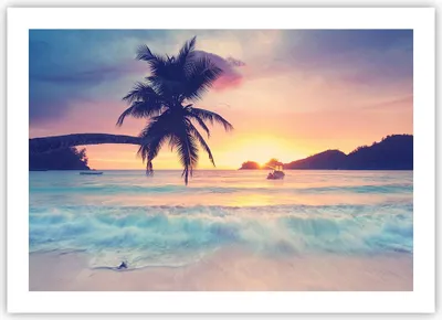 Produktbild von Poster - Poster ohne Rahmen - Meer Strand Palme - 70x50 cm - Wand Bild - Wanddeko - Wandbilder - Kunstposter - Wandposter - Bilder - Kunstdruck - Wanddekoration - Wandbild - P2XAA70x50-3992