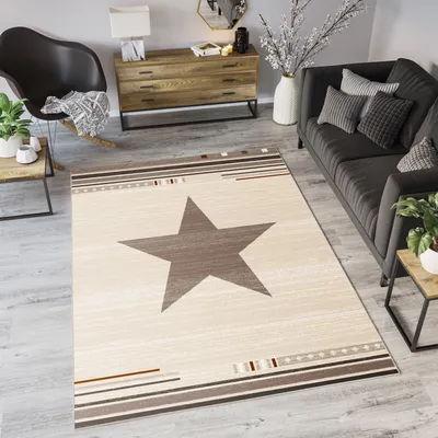 Produktbild von Teppich Wohnzimmer Schlafzimmer Kurzflor Modern Design Meliert Stern Streifen Gestreift Meliert Creme Braun Küche  160 x 220 cm
