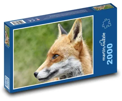 Obrázok produktu pre martinpuzzle - Puzzle 2000 - Líška - divocík, cicavec