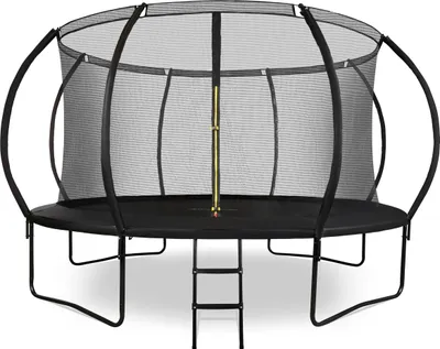 A large round trampoline with a safety net enclosure and a ladder, shown on a white background.
