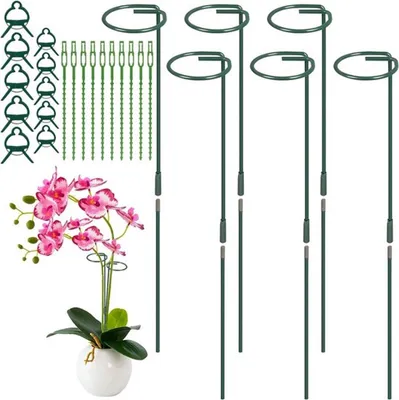 Befestigungsstäbe und Käfige-Set für Pflanzen, 6 Stück, 10 Gartenklips und 10 Kabelbinder für Gartenunterstützung und
