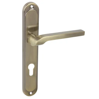A door handle set on a white background.