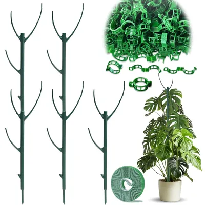 Produktbild von Monstera-Kletterhilfe – Set mit 5 Pflanzenstützen für Zimmerpflanzen
