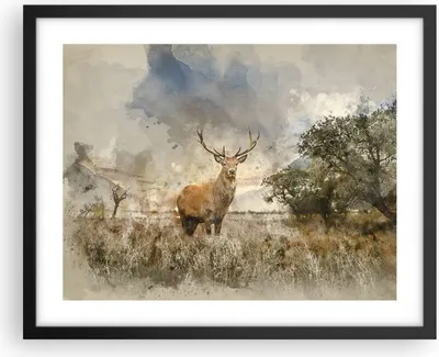 Produktbild von Gerahmtes Poster - Schwarzer Rahmen - rotwild natur - 50x40 cm - Wand Bild - Wanddeko - Wandbilder - Kunstposter - Wandposter - Bilderrahmen - Bilder - Kunstdruck - Wandbild - P2BAA50x40-3465