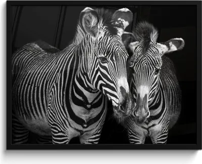 Produktbild von MuchoWow® MuchoWow® Gerahmtes Poster Tierprofil Zebras in Schwarz und Weiß 80x60 cm - Poster mit zchwarzem Bilderrahmen - Schwarzem - Mit Gestell