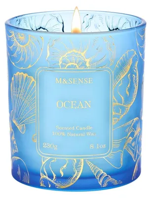 Produktbild von Duftkerze Meeresbrise 230g Vegane Sojakerze 42h Brenndauer im Glas